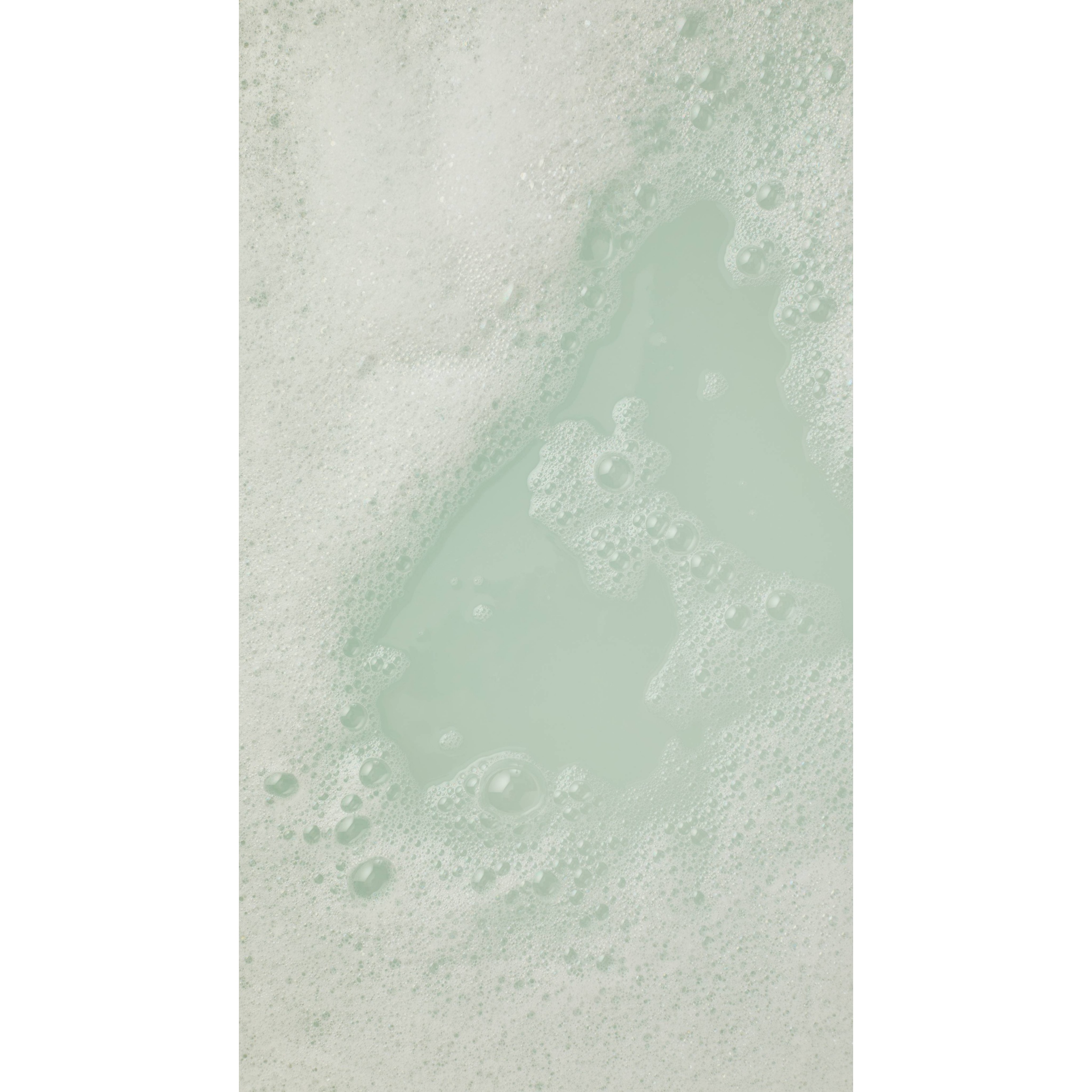 Dracula - Monster Mash Head - Image 24