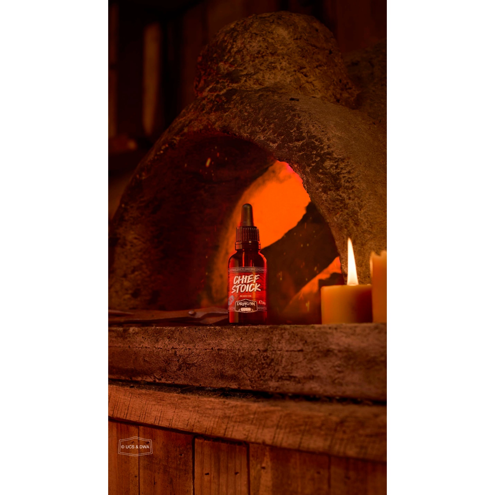 Chief Stoick - Image 2