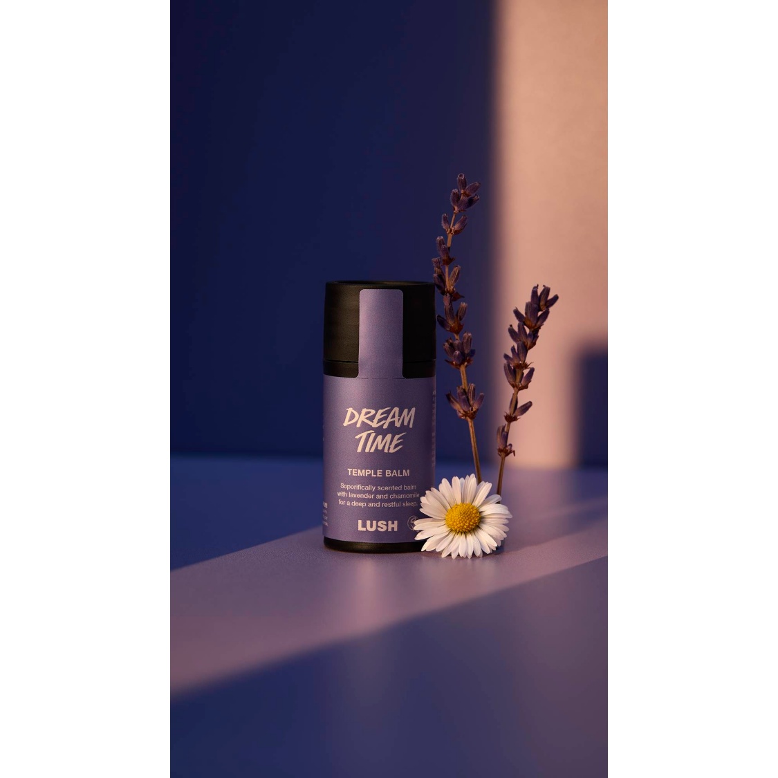 Dream Time - Image 5