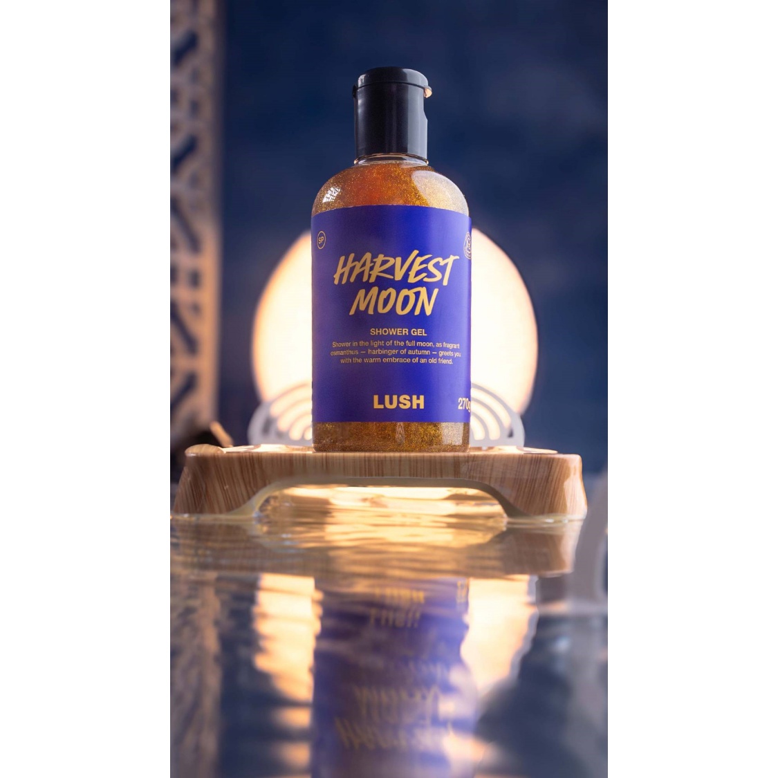 Harvest Moon - Image 2