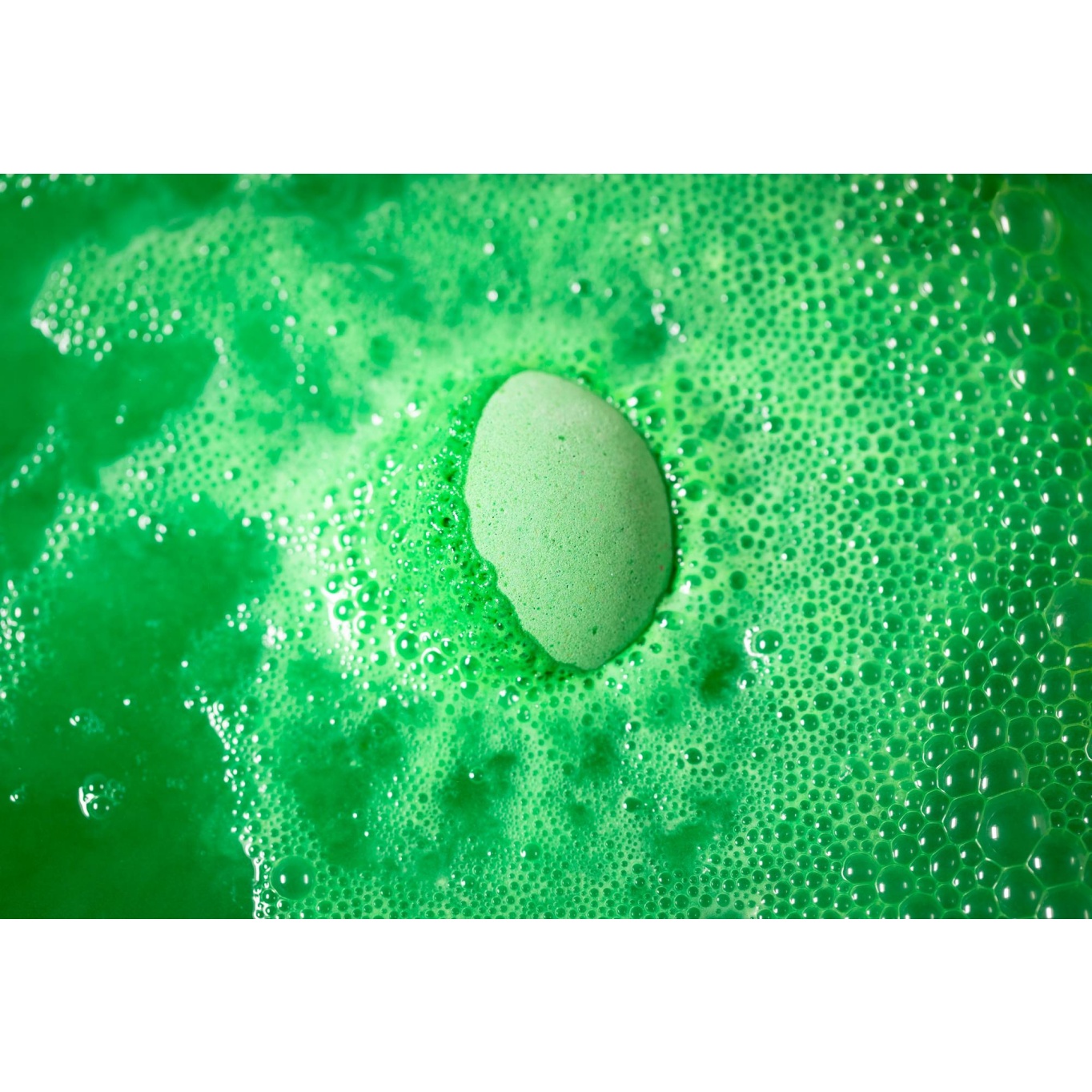 Wild Remedy - Image 4